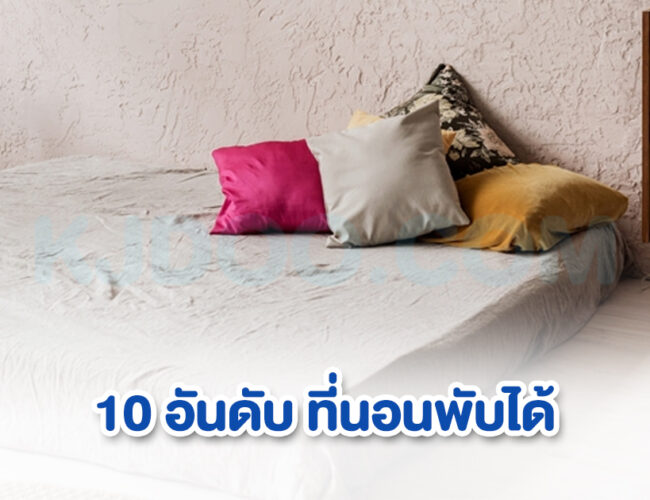 10 อันดับ ที่นอนพับได้ อเนกประสงค์ ยี่ห้อไหนดี