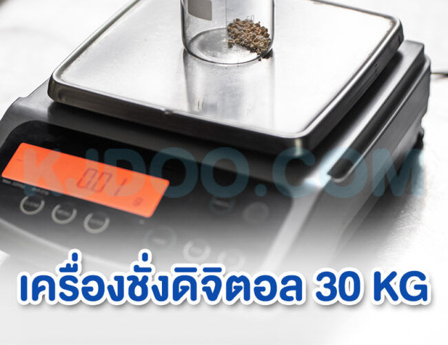 เครื่องชั่งดิจิตอล 30 KG ยี่ห้อไหนดี ที่ได้มาตรฐาน