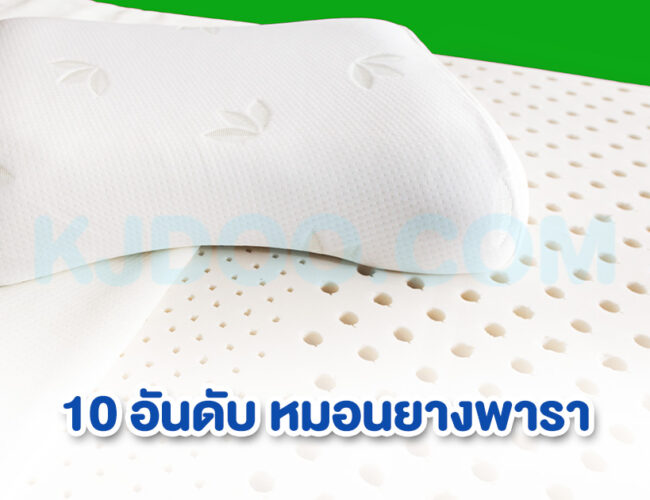 10 อันดับ หมอนยางพารา ยี่ห้อไหนดี นุ่มเข้ารูป นอนสบายไม่ปวดคอ