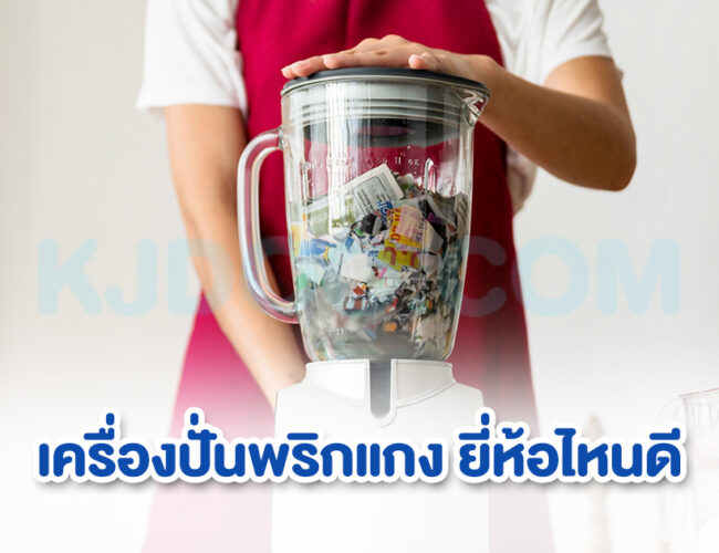 เครื่องปั่นพริกแกง ยี่ห้อไหนดี ราคาประหยัด เริ่มต้นหลักร้อย